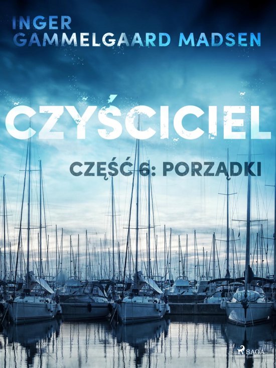 Czy�ciciel 6: Porz�dki