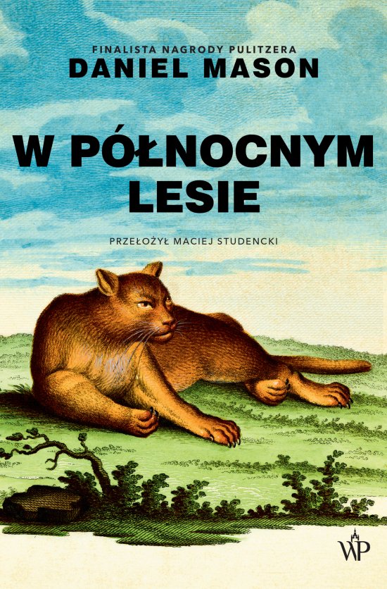 W p�nocnym lesie