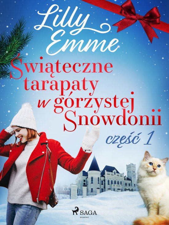 �wi�teczne tarapaty w g�rzystej Snowdonii - cz�� 1