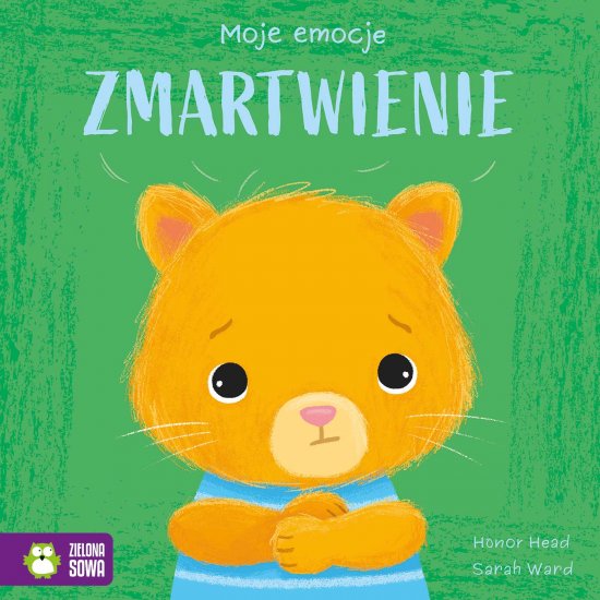 Moje emocje. Zmartwienie