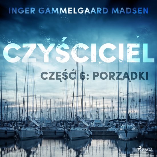 Czy�ciciel 6: Porz�dki