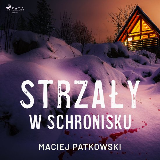 Strza�y w schronisku