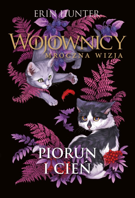 Piorun i cie�
