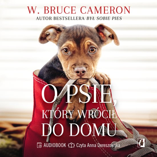 O psie, kt�ry wr�ci� do domu