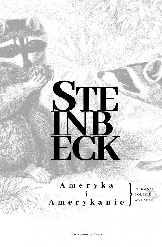 Ameryka i Amerykanie