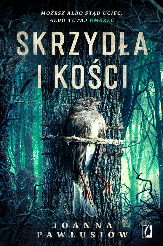 Skrzyd�a i ko�ci
