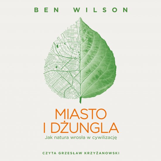 Miasto i d�ungla