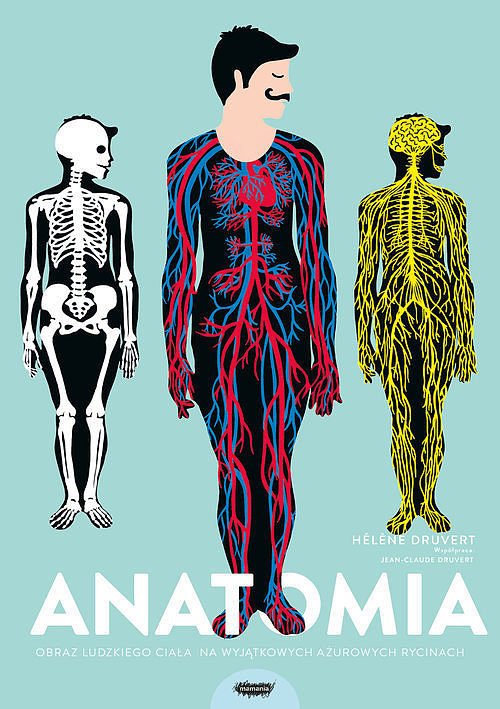 Anatomia Obraz ludzkiego cia�a na wyj�tkowych a�urowych rycinach