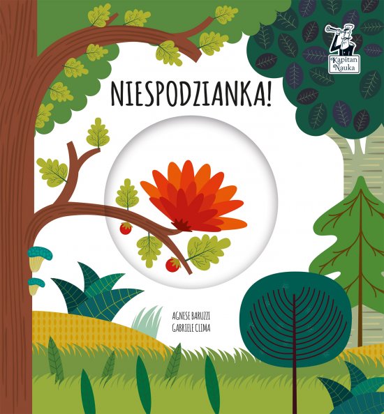 Niespodzianka. Magiczne ko�o. Kapitan Nauka