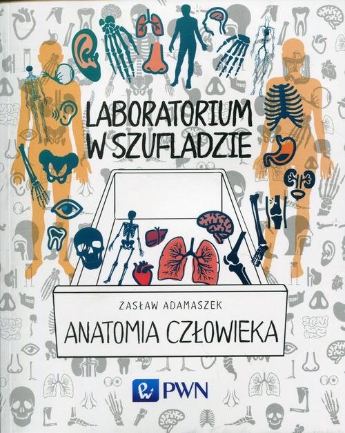 Laboratorium w szufladzie. Anatomia cz�owieka