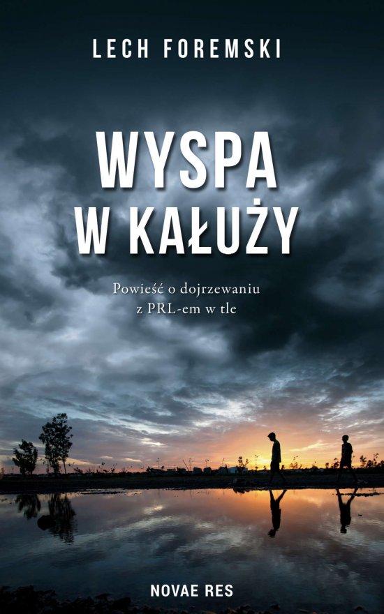 Wyspa w ka�u�y