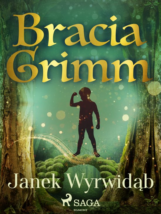 Janek Wyrwid�b