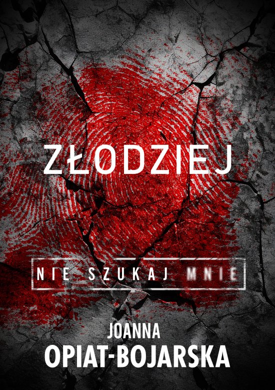 Z�odziej. Nie szukaj mnie. Tom 1