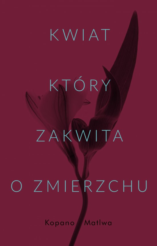Kwiat, kt�ry zakwita o zmierzchu