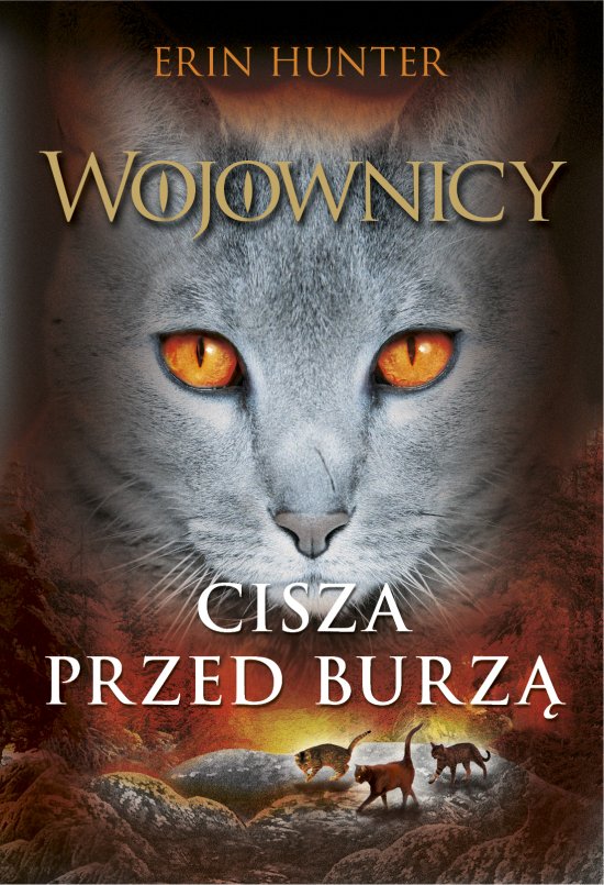 Cisza przed burz�