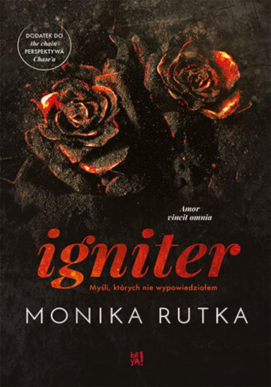 Igniter. My�li, kt�rych nie wypowiedzia�em