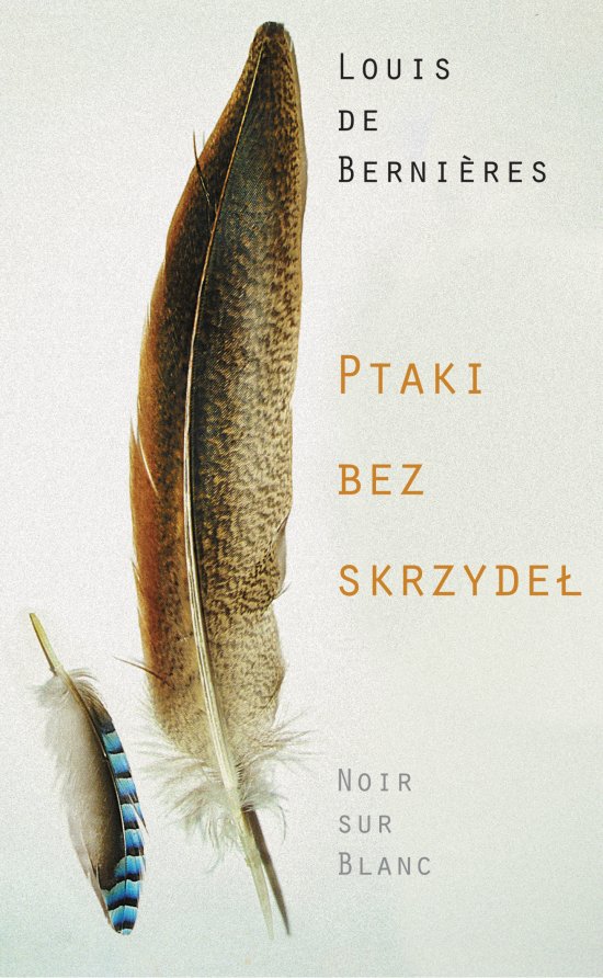 Ptaki bez skrzyde�