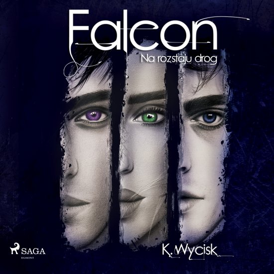 Falcon II Na rozstaju dr�g