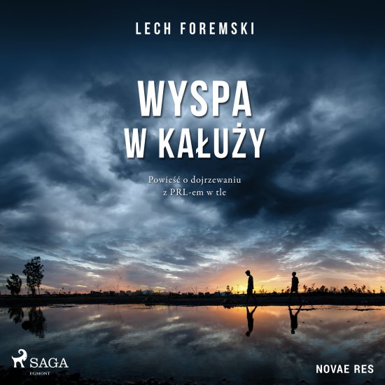 Wyspa w ka�u�y