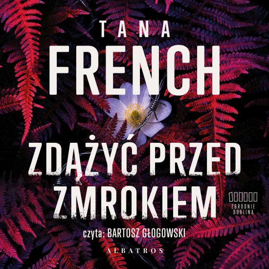 Zd��y� przed zmrokiem