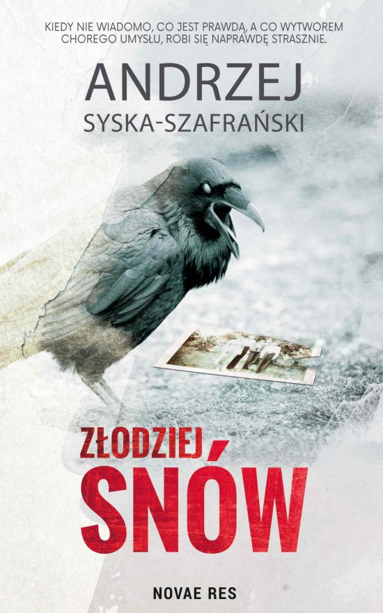 Z�odziej sn�w