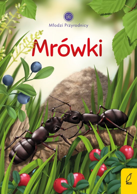 M�odzi przyrodnicy. Mr�wki