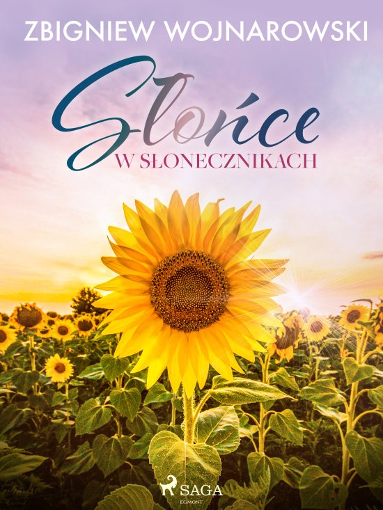 S�o�ce w s�onecznikach
