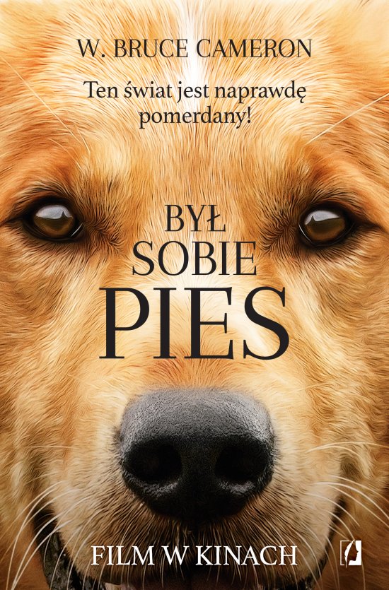 By� sobie pies. Ten �wiat jest naprawd� pomerdany