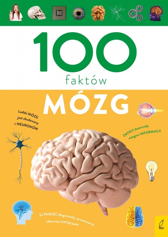 100 fakt�w. M�zg