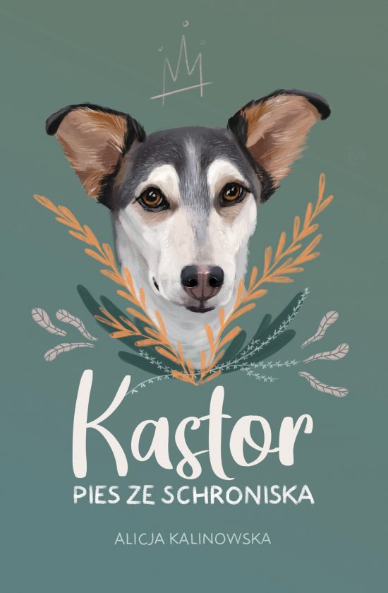 Kastor. PIES ZE SCHRONISKA /NB/