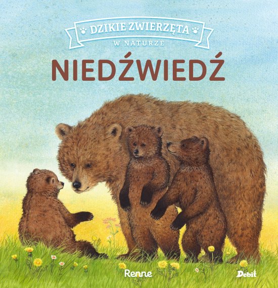 Dzikie zwierz�ta w naturze. Nied�wied�
