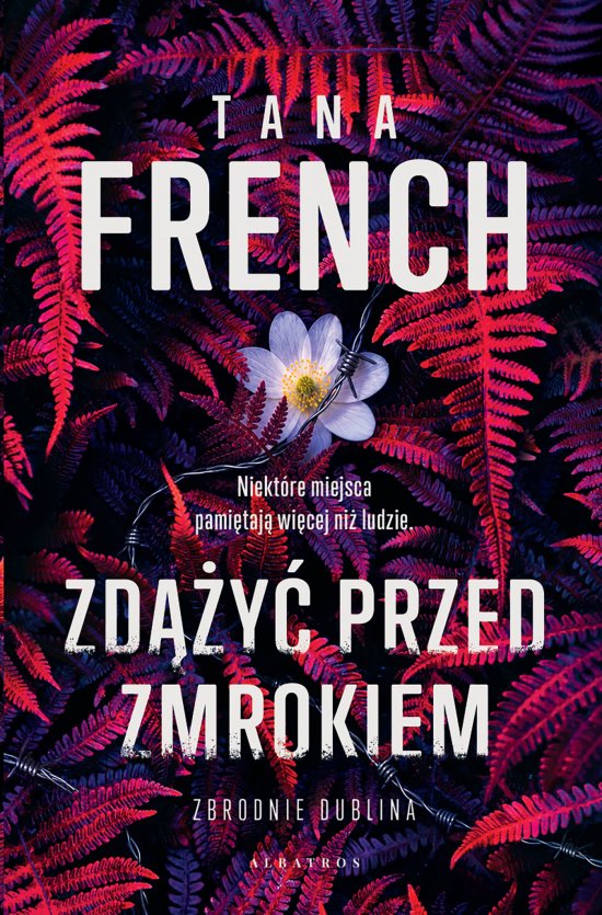 Zd��y� przed zmrokiem