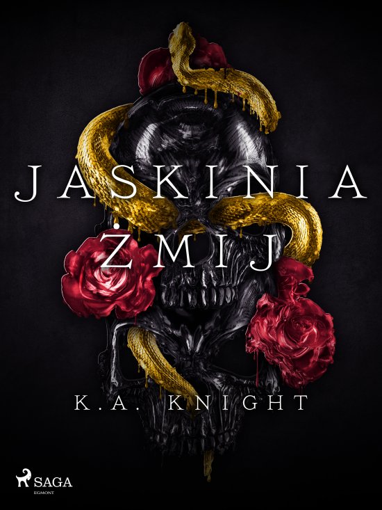 Jaskinia �mij