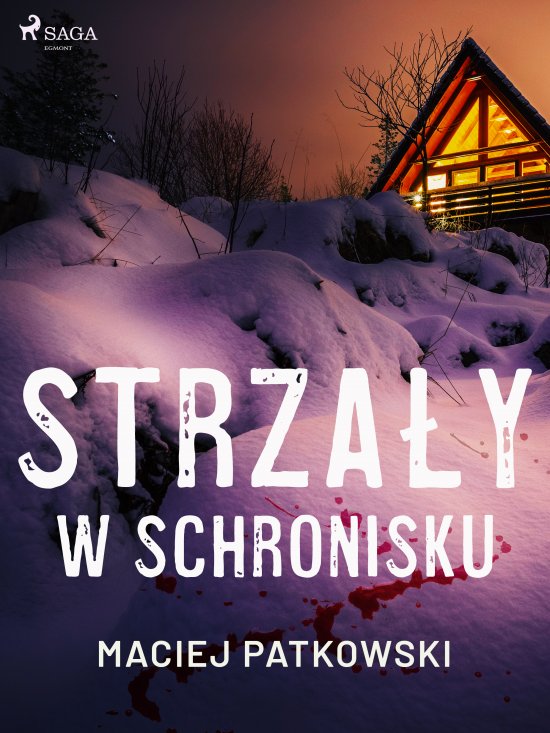 Strza�y w schronisku