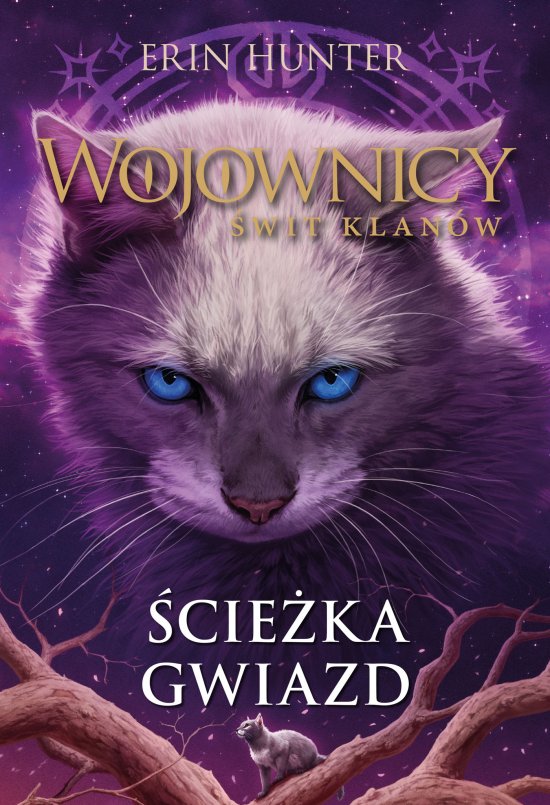 �cie�ka gwiazd, Wojownicy