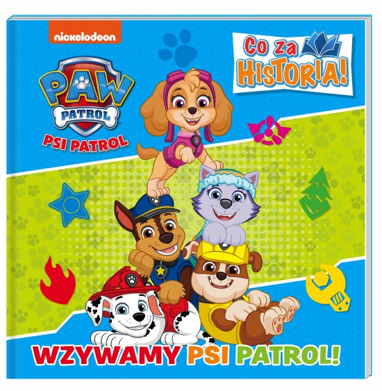 Psi Patrol. Co za historia. Wzywamy Psi Patrol