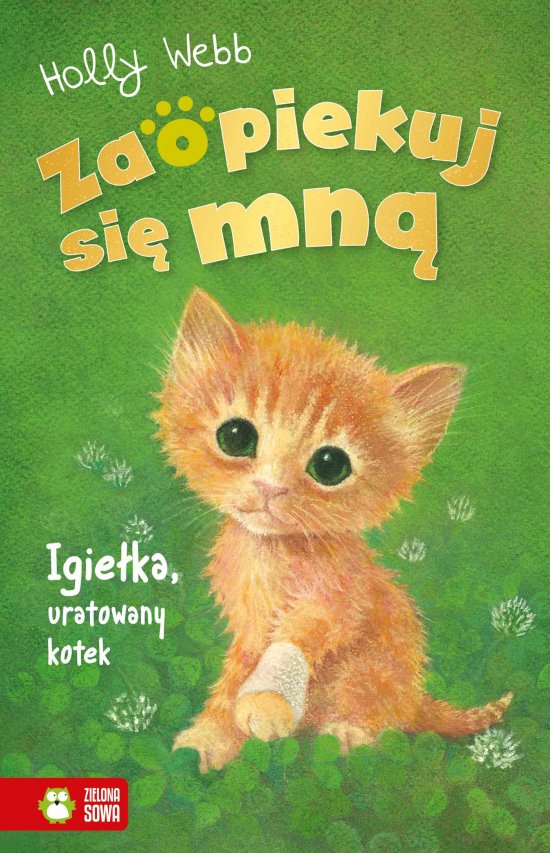 Zaopiekuj si� mn�. Igie�ka, uratowany kotek