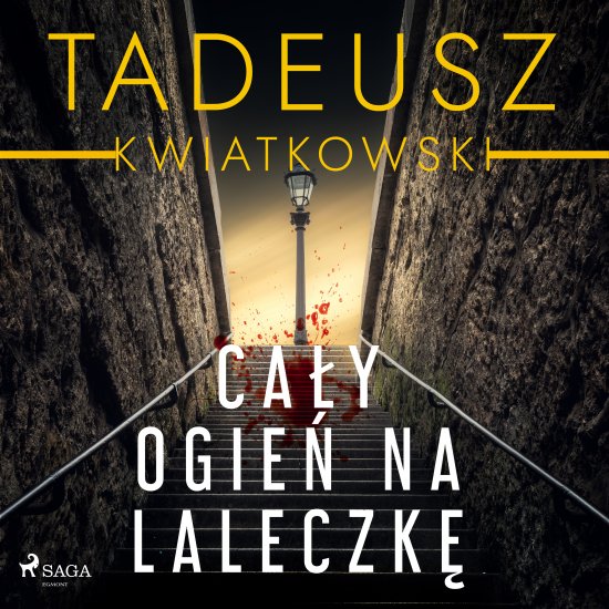 Ca�y ogie� na laleczk�