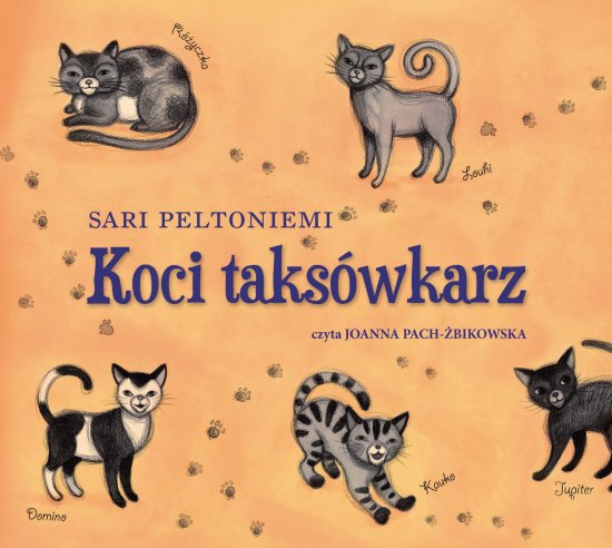 Koci taks�wkarz