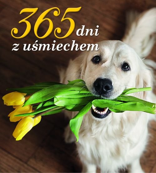 365 dni z u�miechem