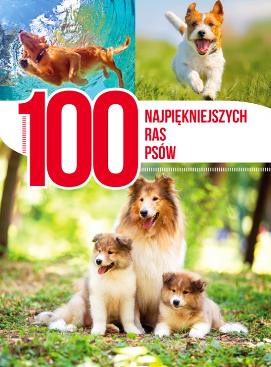 100 najpi�kniejszych ras ps�w