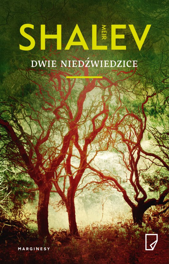 Dwie nied�wiedzice