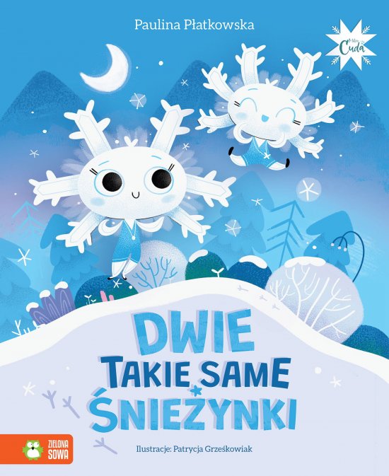 Dwie takie same �nie�ynki