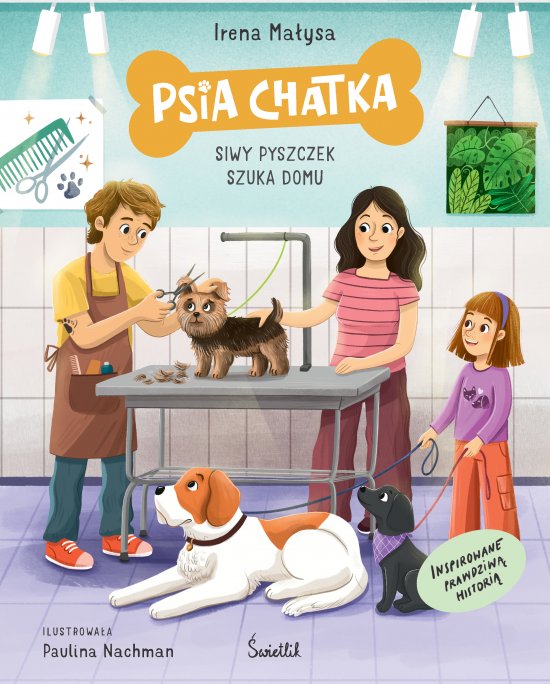 Psia Chatka. Siwy pyszczek szuka domu