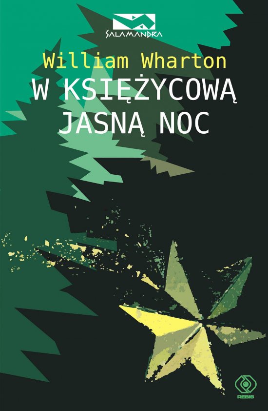W ksi�ycow� jasn� noc