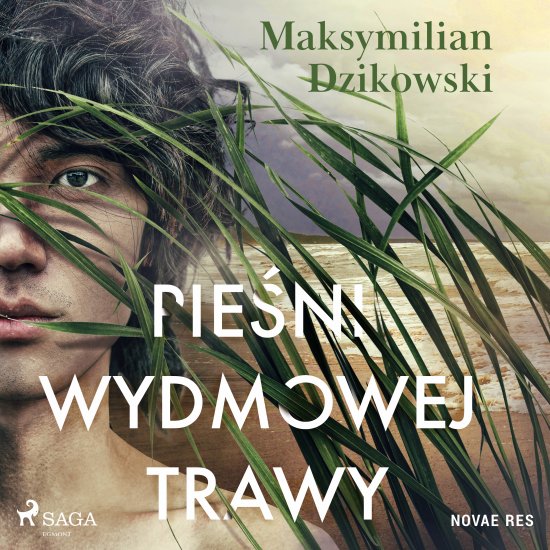 Pie�ni wydmowej trawy