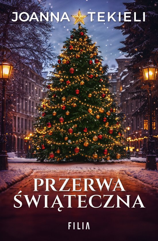 Przerwa �wi�teczna