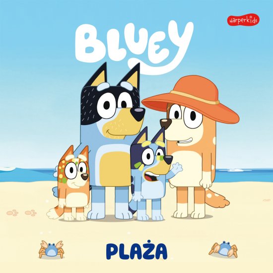 Bluey. Pla�a. Moja czytanka