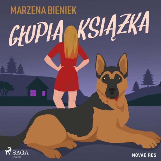 G�upia ksi��ka