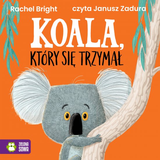 Koala, kt�ry si� trzyma�